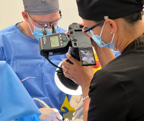 Harry Dental Implant