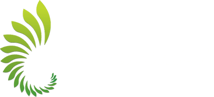 Suncoastdental are qualified dentists in Maroochydore!